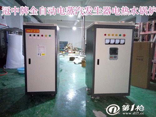 電蒸汽發生器圖片