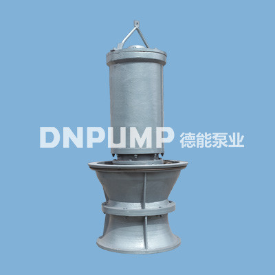 天津德能泵業潛水軸流泵