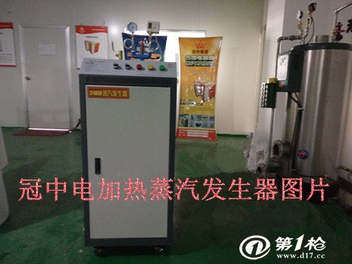 電蒸汽發生器圖片